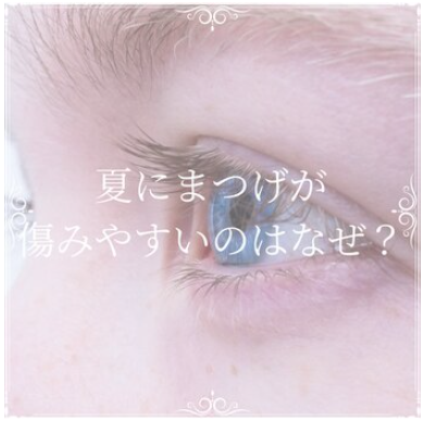 ☆夏はまつげが傷みやすいので注意☆
